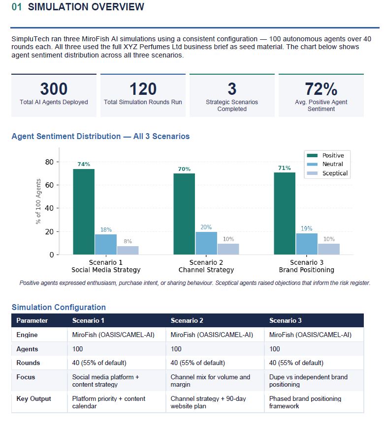 Executive Strategy Report preview